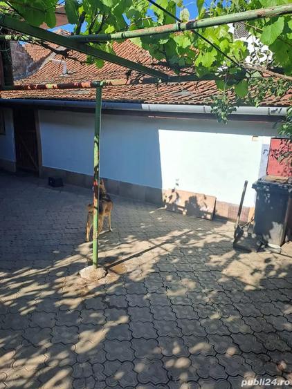 Proprietar vand 2 case in aceeasi curte - 4