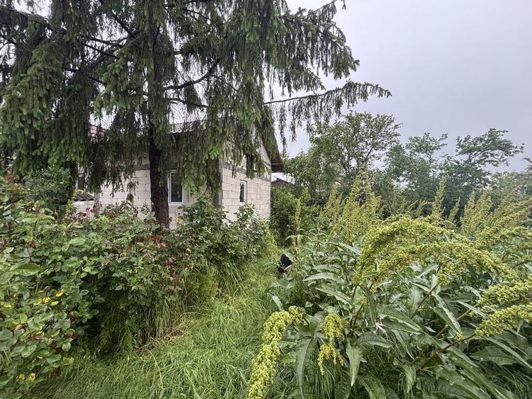 Vand Casa 3 camere la rosu cu teren 2200 mp - 8