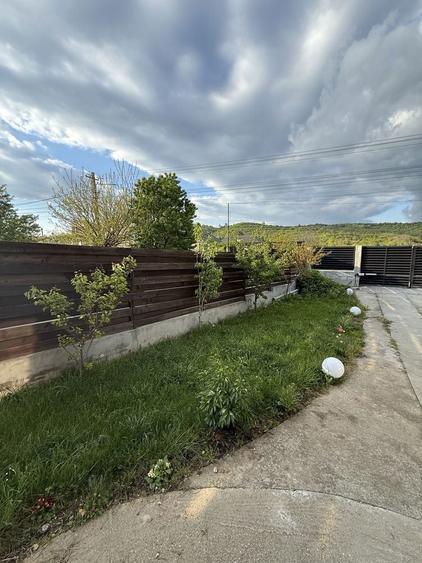 Vila Deosebita Valea Mare-Stefanesti | 4 Dormitoare | Gradina cu Irigatii - 6