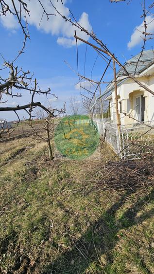 Casa din cramida, zona Tamaseni,Neamt - 4