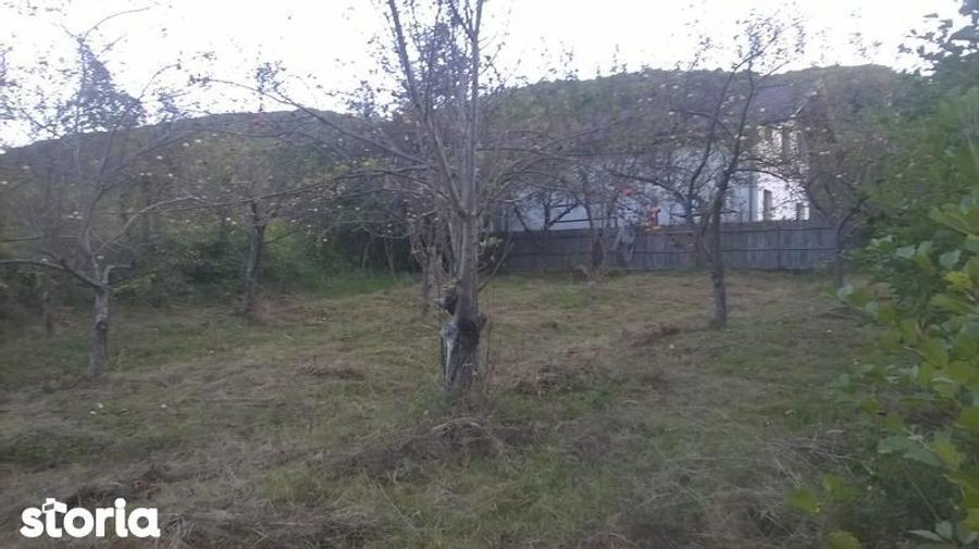 Teren intravilan Vladesti, Valcea - 3