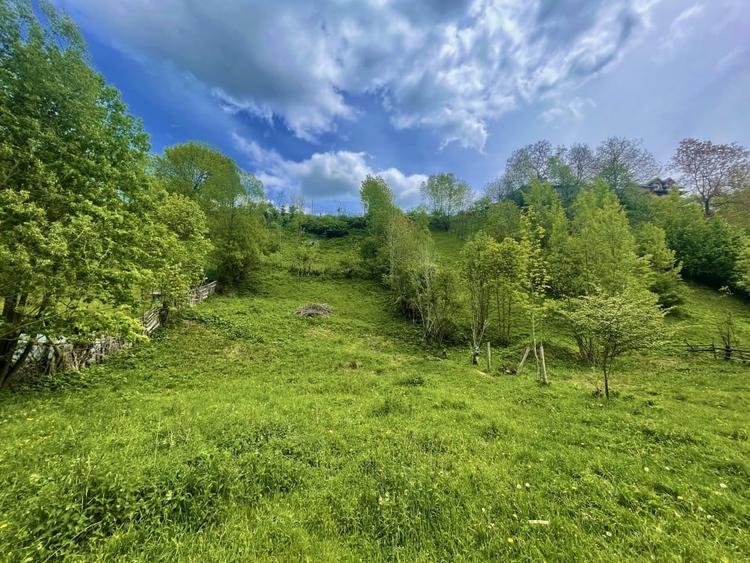 Teren intravilan Traisteni 839 mp, toate avizele - 2