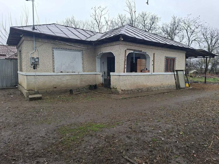 Casa de vanzare si teren 7000 mp - 1