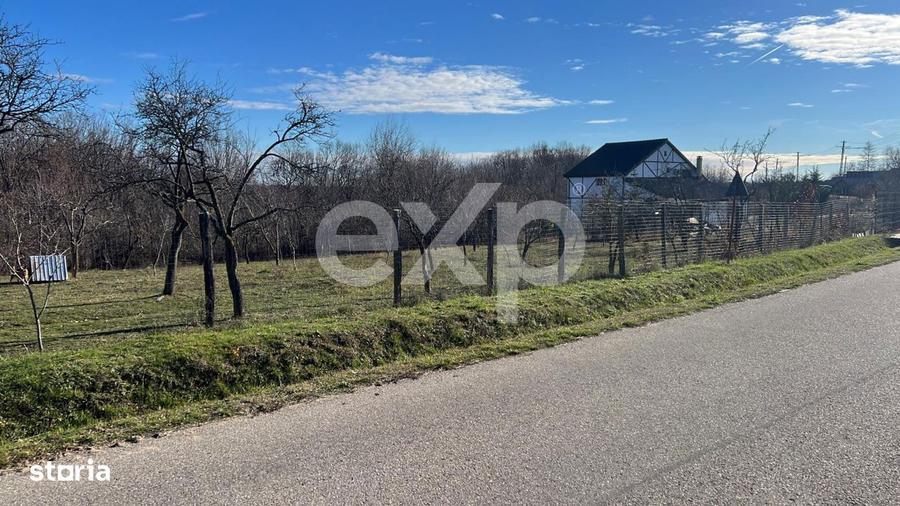 Refugiu la tara: casa cu 2 camere si teren de aproape 4.000 mp, Cocu - 3