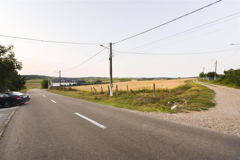 RECO Teren intravilan pentru casa 1000 mp Lazareni - 1