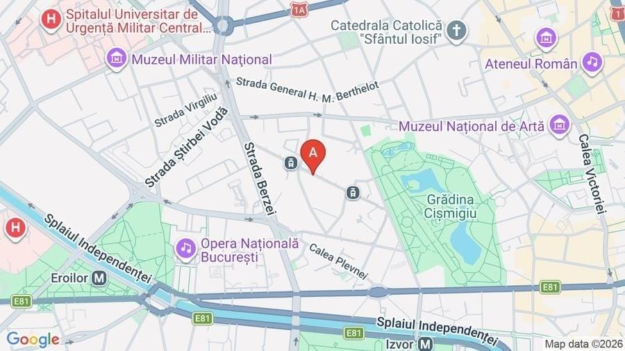 Apartament Cismigiu / Cobălcescu - 5