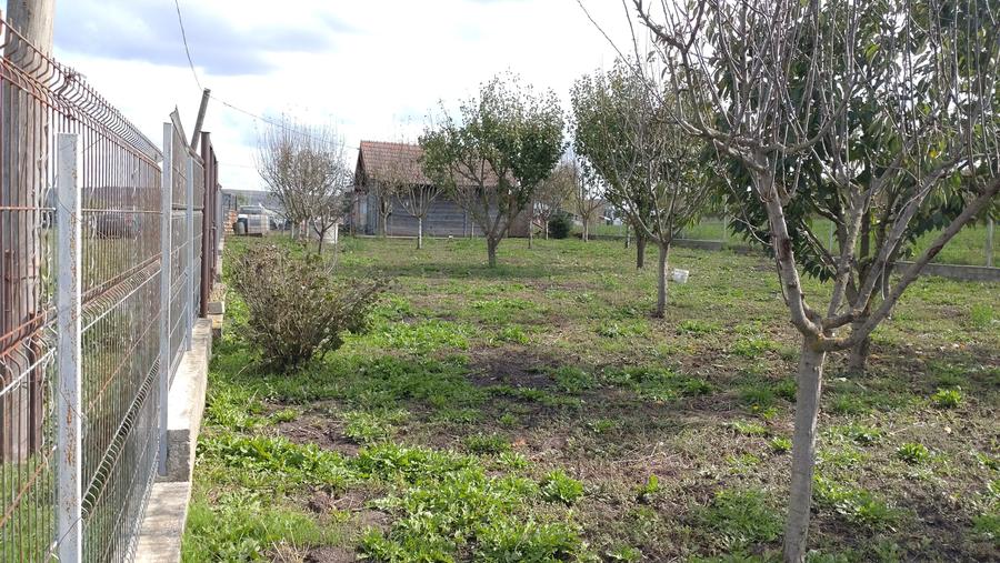 Inchiriez teren in Sopor - 7