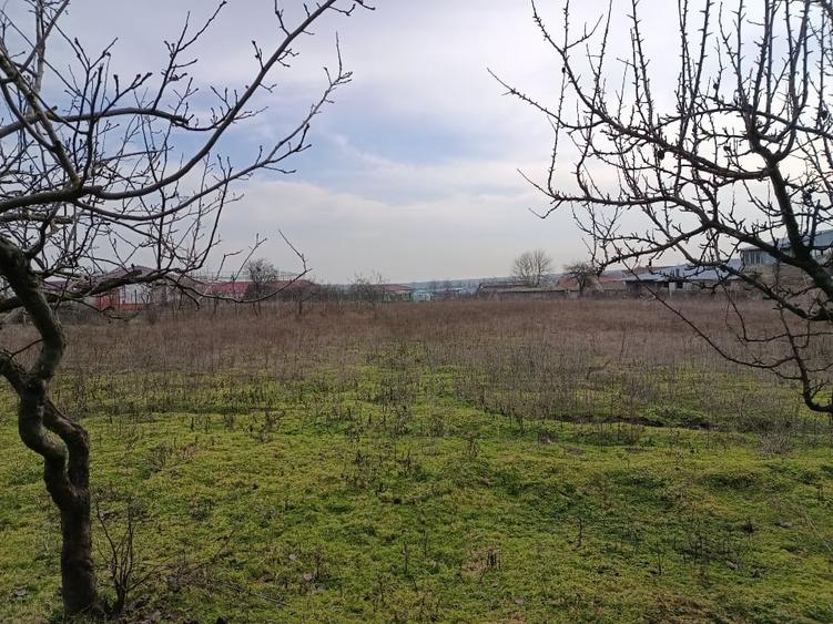 Casă + Teren 4625 mp – Cataloi (10 min de Tulcea) - 5