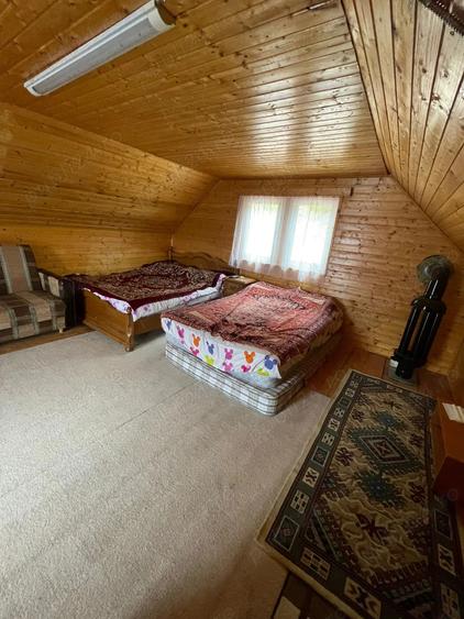 Cabana Muntele Baisorii - 4
