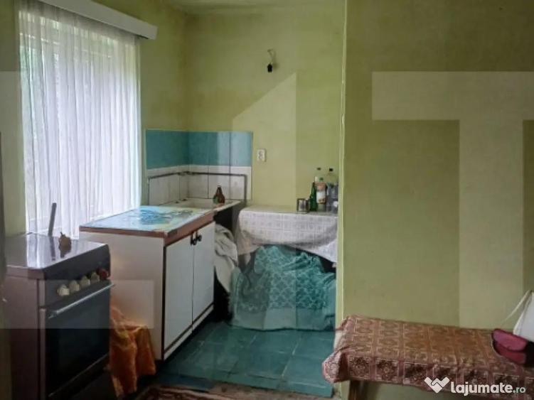 Casa taraneasca in centru Hatuica - 9