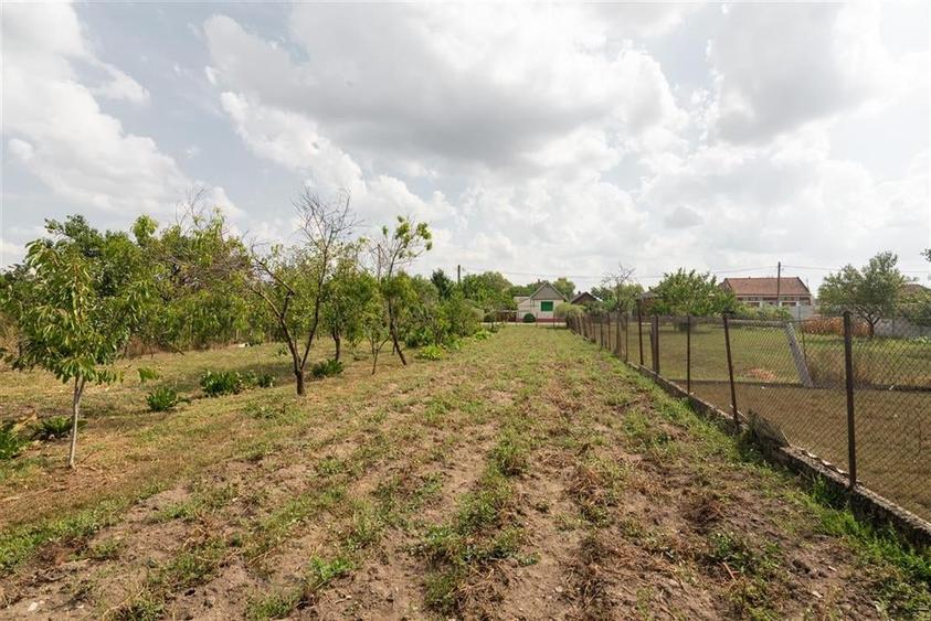 Teren mare cu 2 case si front la 2 strazi in Tamaseu - 31