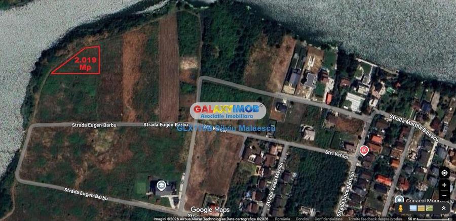 Mogosoaia 2.019 Mp LAC - IDEAL INVESTITIE - 6