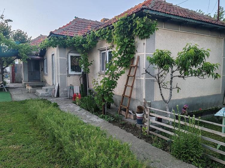 Vand casa cogealac - 9