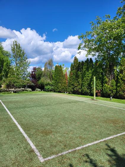 Dimineți pe ponton, seri la piscină – viața la Snagov. - 19