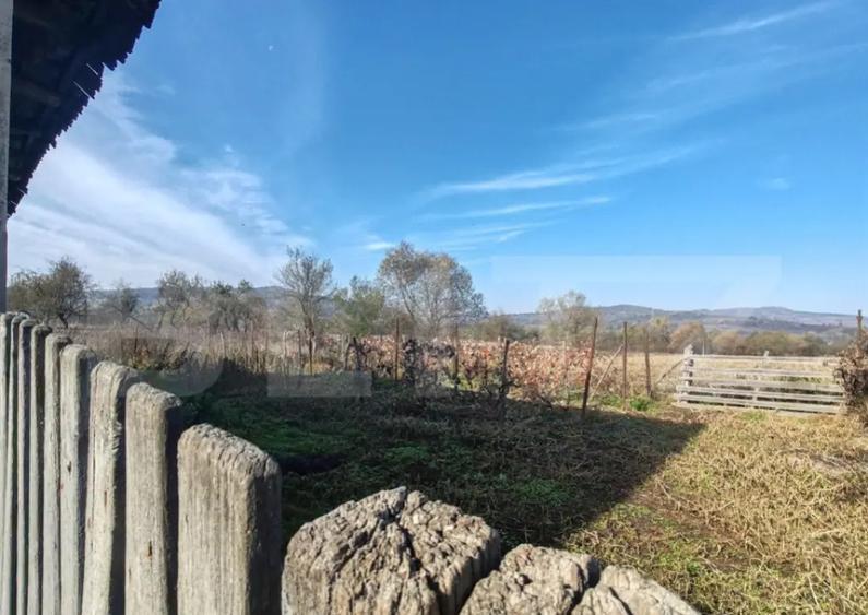 Casa familiala cu anexe gospoadaresti si teren in suprafata - 3