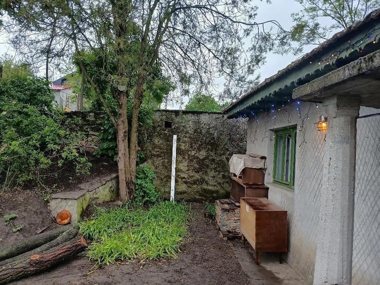 30min plaja Mangalia,60 min Constanta,casa din piatra(1930),peisaj vacan?a unicat,zona vanatoare - 5