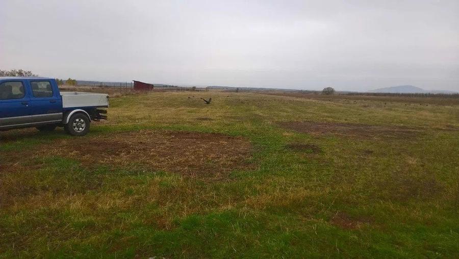 Ofertă Atractivă: Teren intravilan 47700 mp Dobolii de Jos, doar 20 km de Brașov - 7