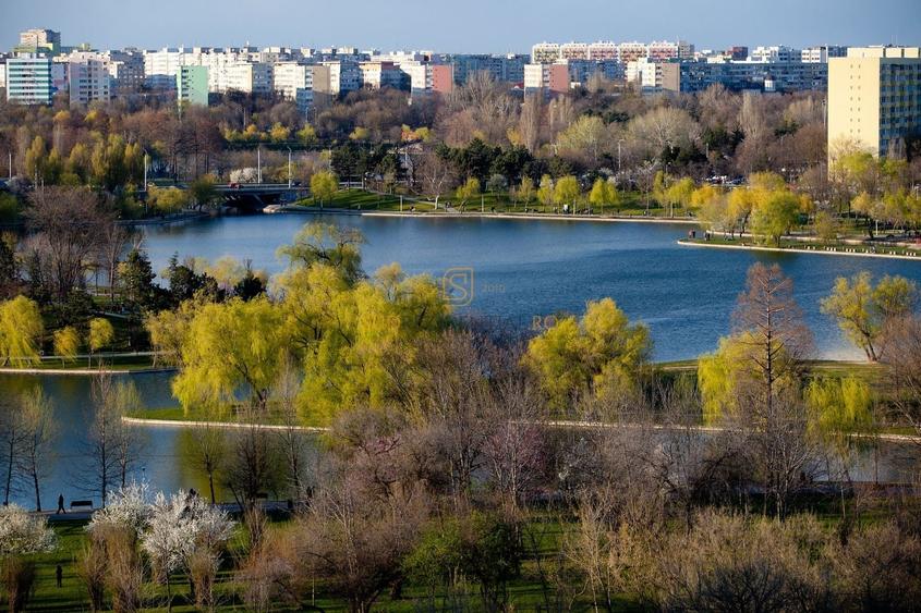 Teren Construcții intravilan de 10985 mp, în Berceni