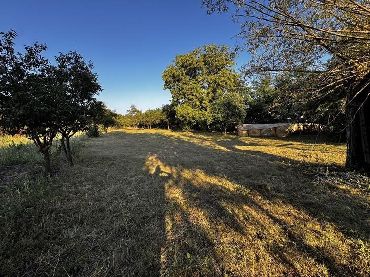 Teren de 1550 mp, în Galda de Jos