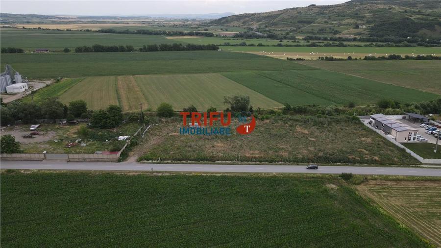 Teren Construcții intravilan de 9087 mp, în Ighiu