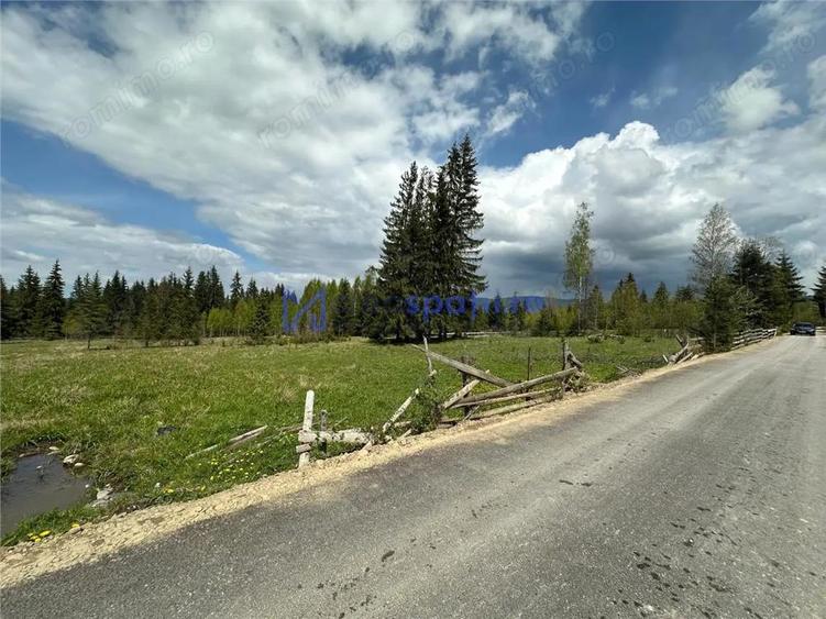 Teren de 6000 mp, în Șaru Dornei