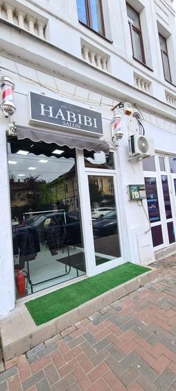 Vila Calea Calarasi 132 - 6