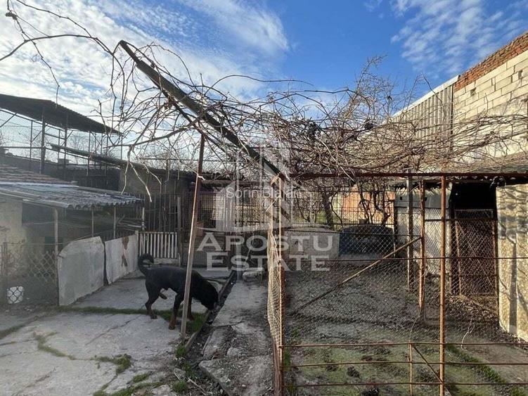 Casa Freidorf - Dambovita langa Alfa