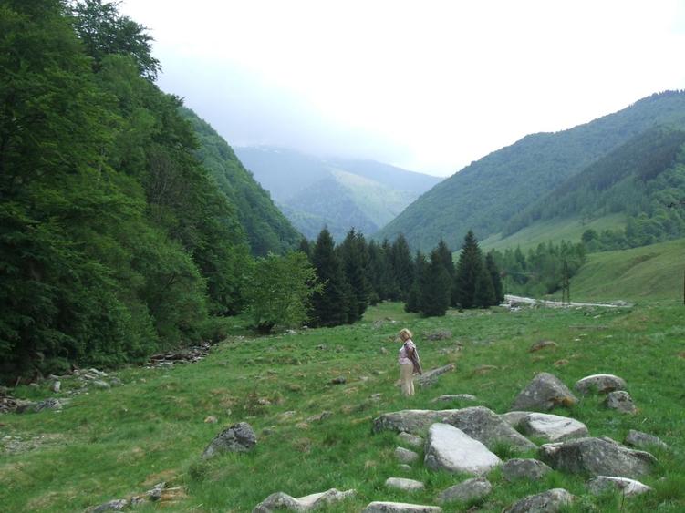 Raul Mare Retezat, spre statiunea de schi Rausor, Judetul Hunedoara - 5