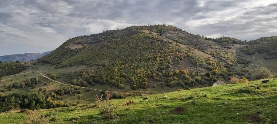 Teren 10.000 mp- Zona Montana Salbatica (Valea Mare Prava?-AG) , Panorama Iezer-Papu?a - 1