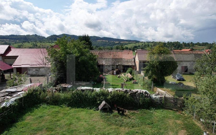 Doua case + anexa, teren 1655mp, Vama Buzaului (Acris) - 6