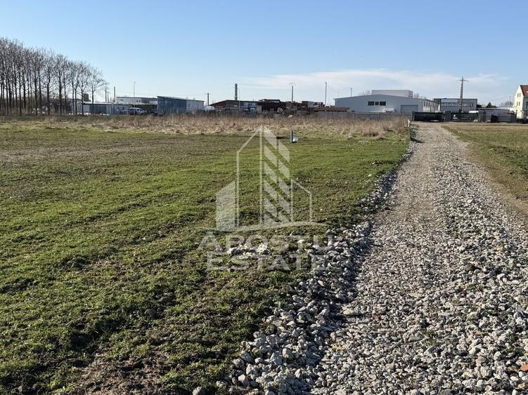 Teren pentru hala industriala, 1431 mp, Sagului- Ovidiu Cotrus - 1