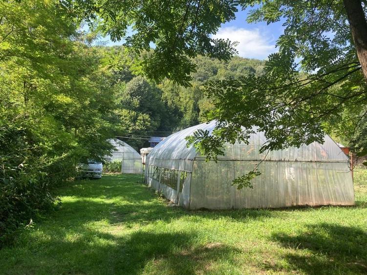 De vanzare teren Telega - 2