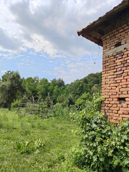 VAND CASA IN CAPU Piscului Godeni judetul Arges - 7