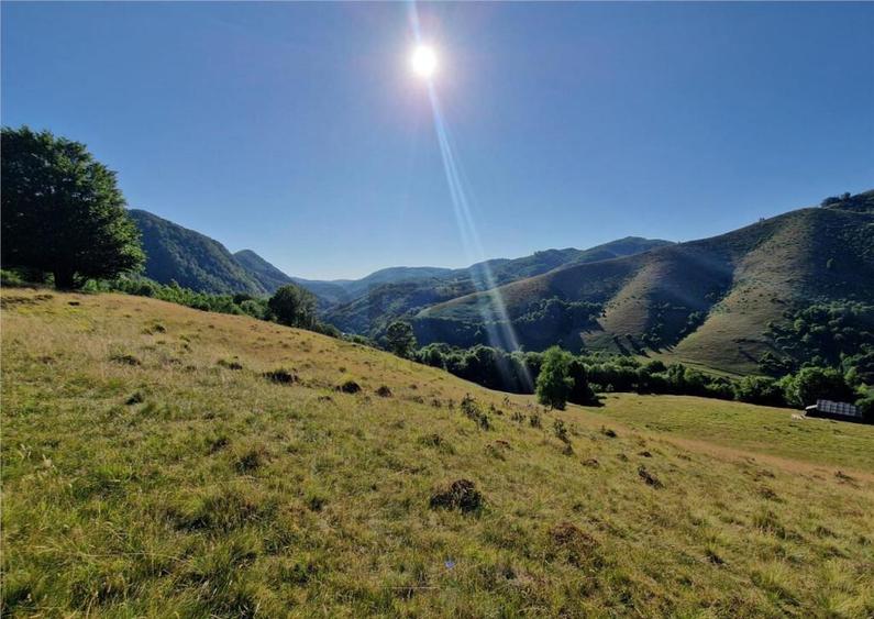 RECO teren extravilan Remeti - 7