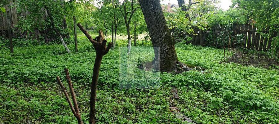 Casa batraneasca de vanzare in Tarlungeni - 5