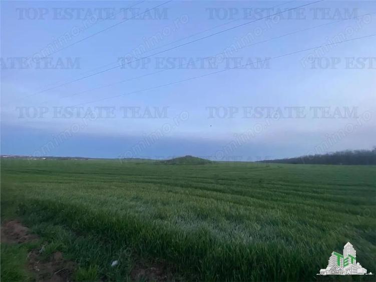 Teren intravilan 15000 mp Costinesti, Constanta - 5