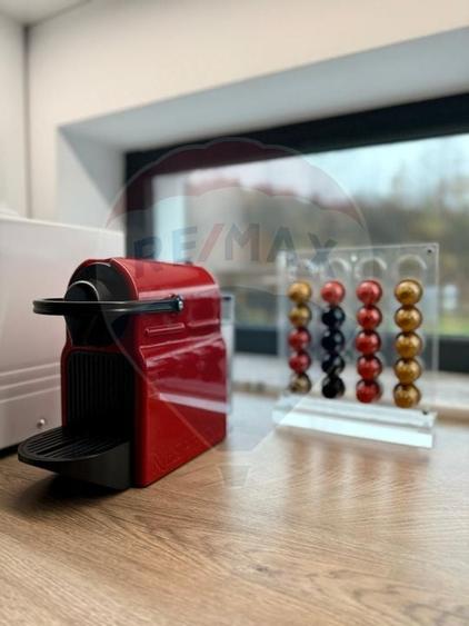 Vanzare Vila la munte - 21