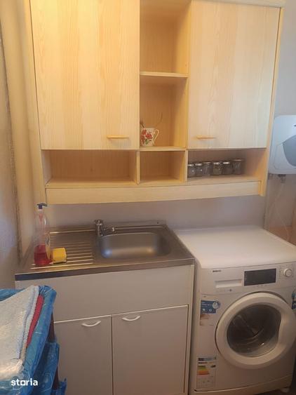 Garsoniera Laminorului - proprietar - 2