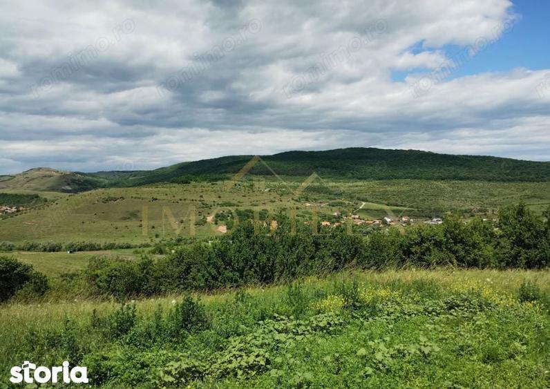 Teren intravilan 2.200 mp | Radaia Baciu | Panorama superba - 1