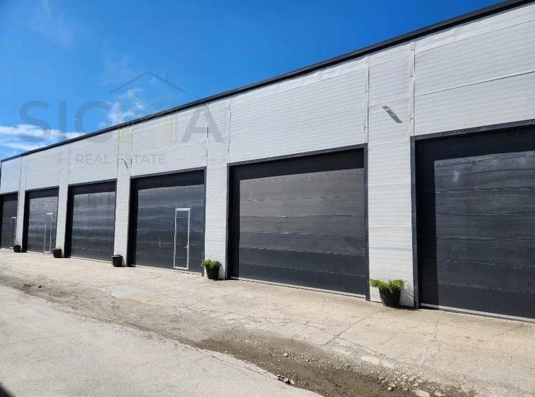 Hala de inchiriat – Baciu, la intrare in Cluj-Napoca - 3