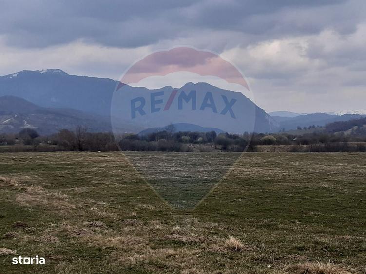 Teren 10,000mp Rasnov / Drumul Panicel - 4