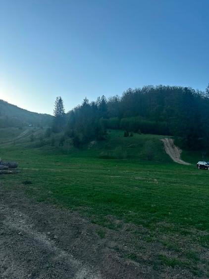 Teren intravilan în Marginea - 6