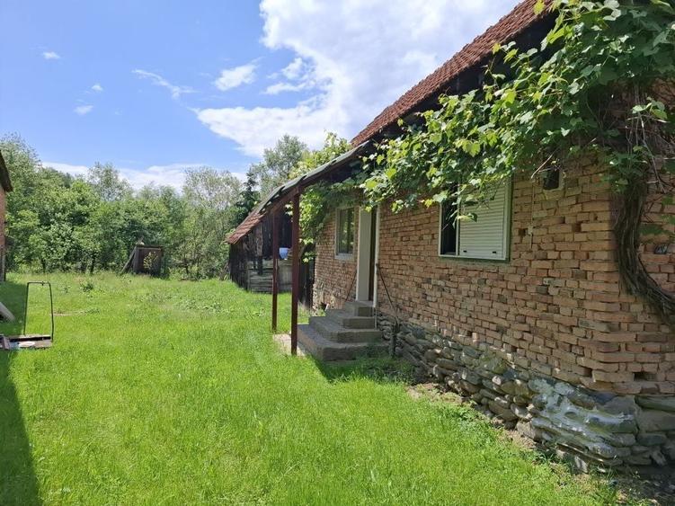 Casa de vanzare in Arpasu de Sus - 2