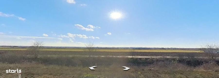 Teren in Giroc pentru investitori - 2