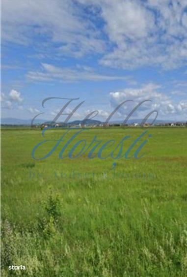 Teren intravilan 1.440mp pretabil duplex | Floresti - 3