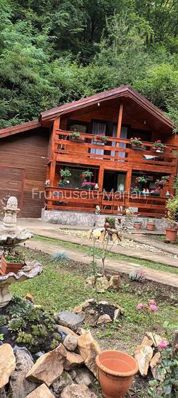 Vand casa de vacanta!