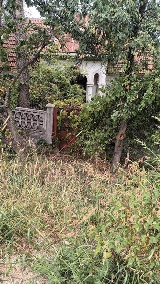 Casa batraneasca si Teren 4187 mp (Intravilan + Extravilan) cu fantana, Sine?ti (Mijlocu), Valcea - 4