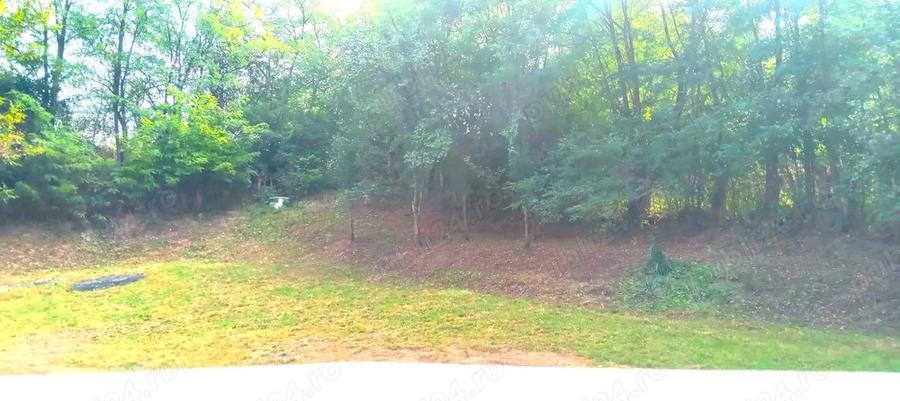 Casa langa padure, in zona verde ?i lini?tita Iedera de Sus (Moreni), Dambovi?a - 4