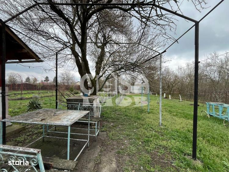 Casuta din lemn de weekend sau casa de vacanta cu teren si livada - 9