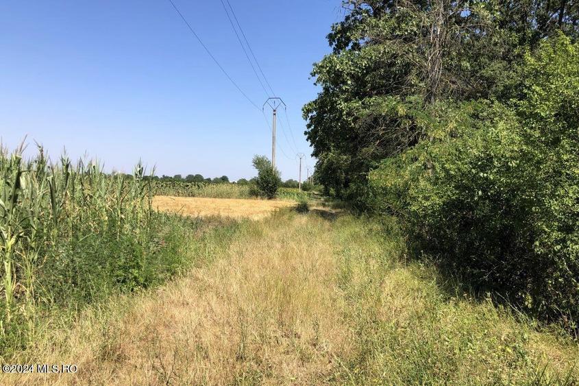 Moara Vlasiei - langa Padurea Biglaru, 11.884 mp, deschidere 40 ml! - 10